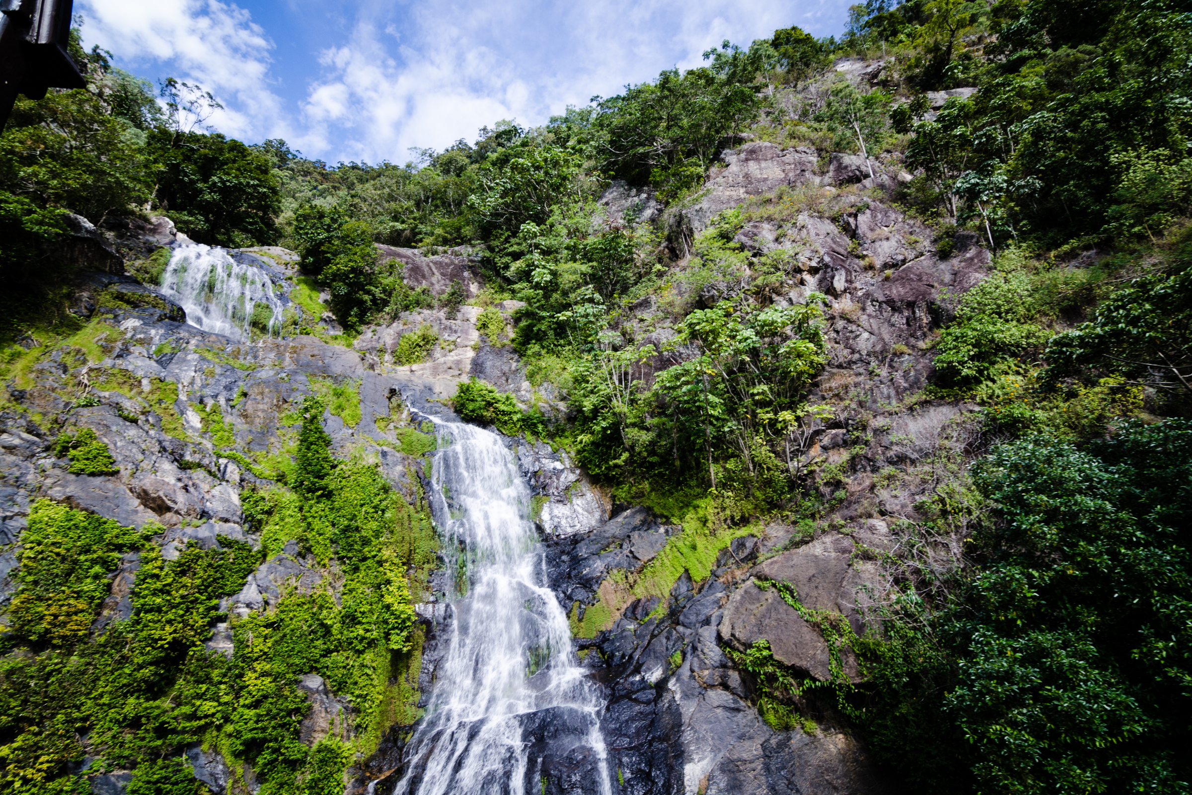 kuranda (4).webp